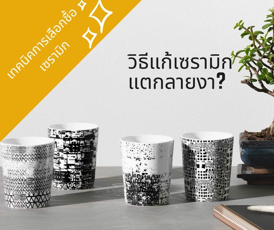 จัดการเซรามิกแตกลายงา แนะนำเทคนิคการเลือกชื้อเซรามิกแบบมือโปร